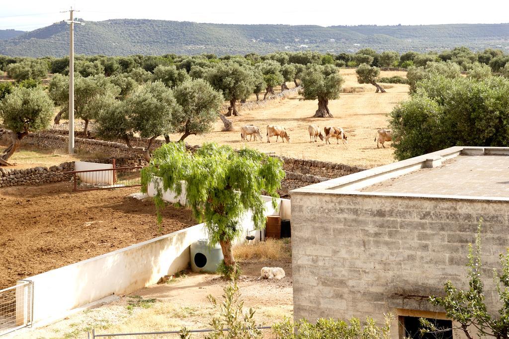 Masseria Curatori Monopoli Exteriör bild