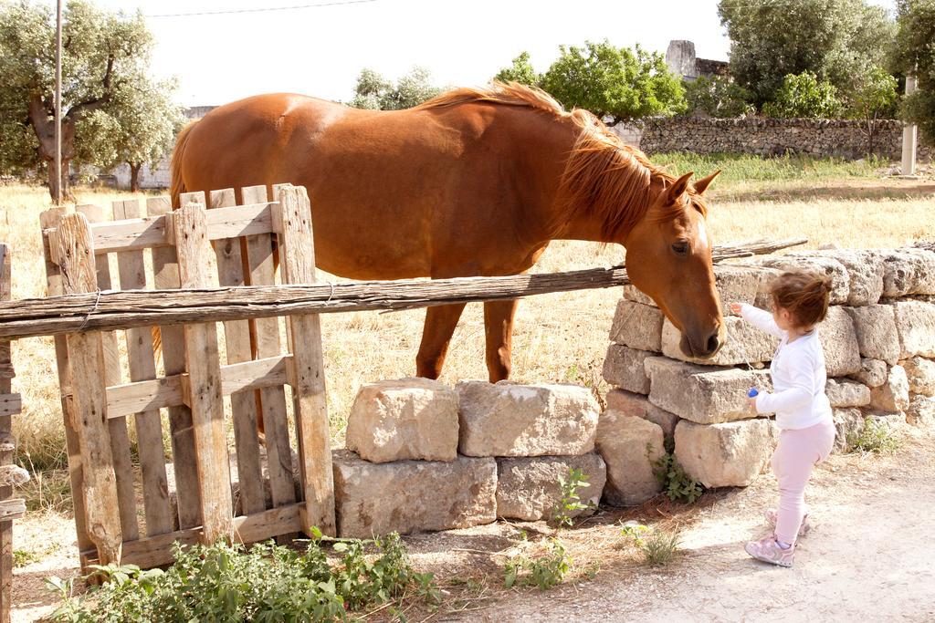 Masseria Curatori Monopoli Exteriör bild